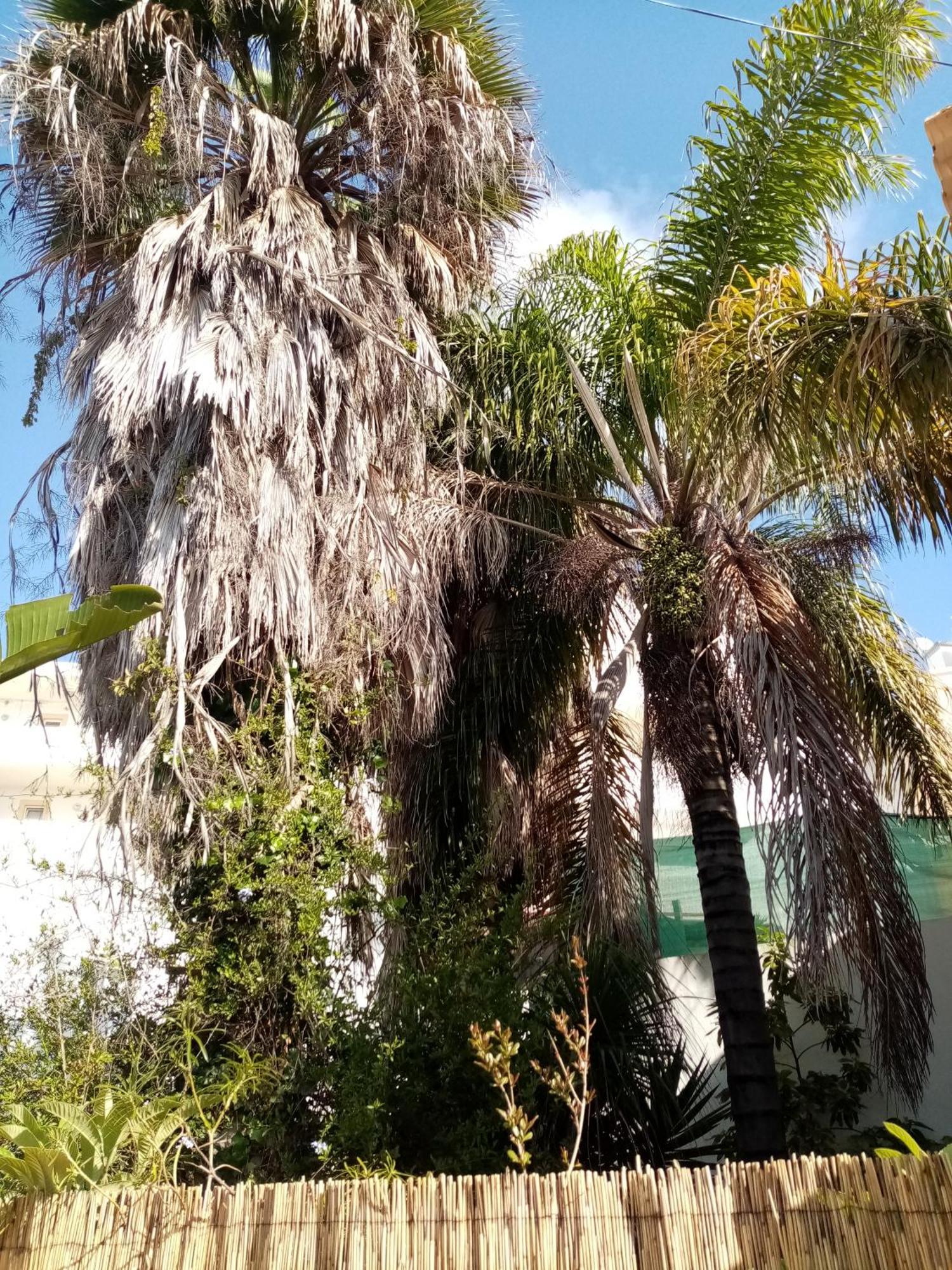 Villa Casa Rustica-Unifamiliar-Max 4 Pessoas Olhão Esterno foto